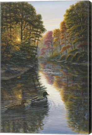 Framed Autumn Mallards 2 Print