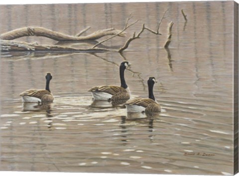 Framed Early Spring Geese Trio Print