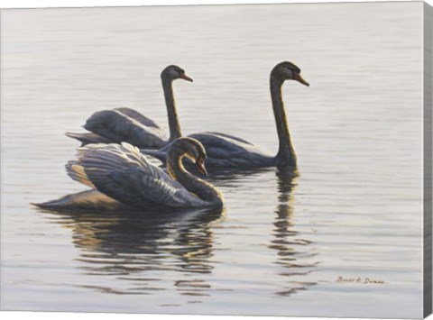 Framed Shore Patrol Print