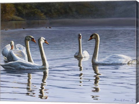 Framed Hanover Swans Five Print