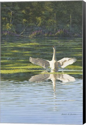 Framed Morning Stretch Print