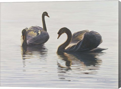 Framed Beauty And Grace Print