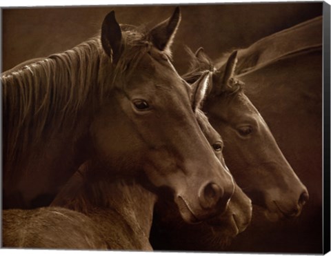 Framed Tenderness Print
