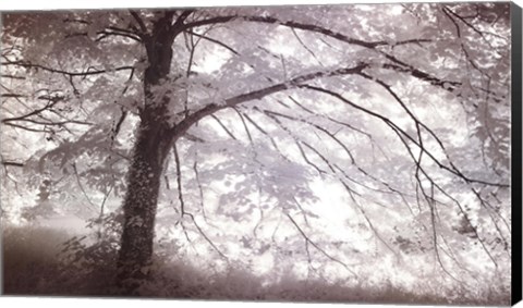 Framed Secret Place Print