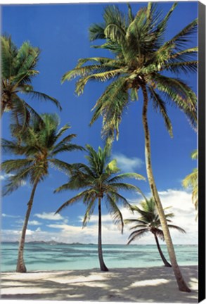 Framed Perfect Day Print