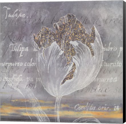 Framed Botanic Dove I Print