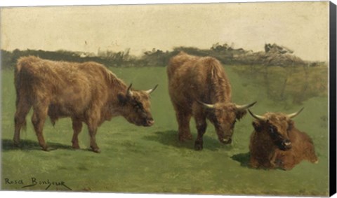 Framed Three Studies of Reddish-Haired Cows on a Meadow Print