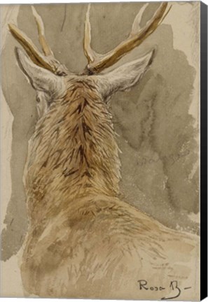 Framed Study of a Deer Print