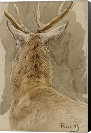 Framed Study of a Deer Print