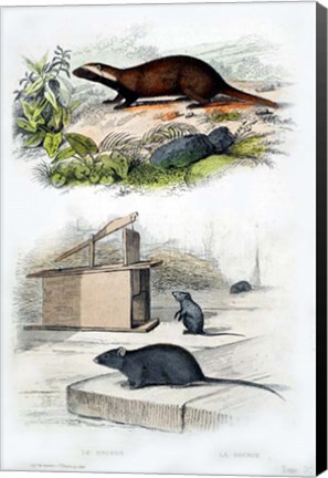 Framed Badger and Mouse Print