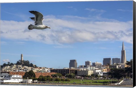 Framed Over SF Print