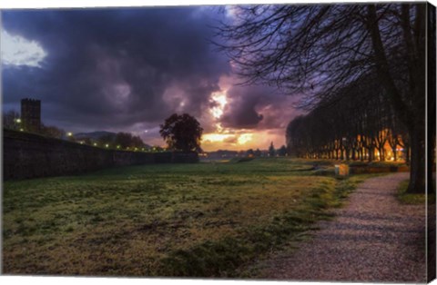 Framed Walk in the Park Print