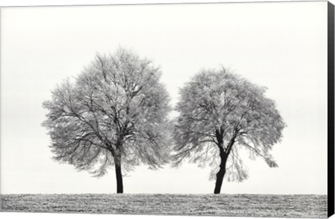 Framed First Snow Print