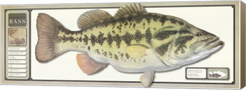 Framed World Record Largemouth Bass Print