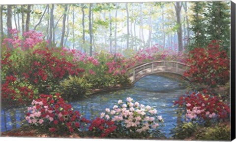 Framed Cypress Dream Print