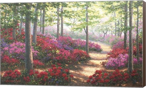 Framed Woodland Trail Print