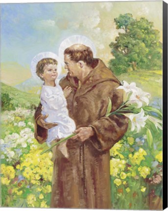 Framed St Francis Print