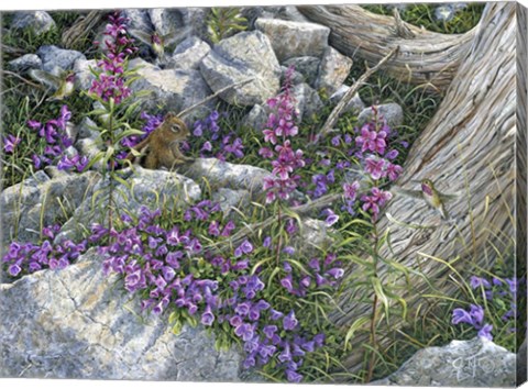 Framed Squirrel Painting Print