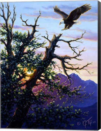 Framed Touchdown PaintingJeff Tift Print