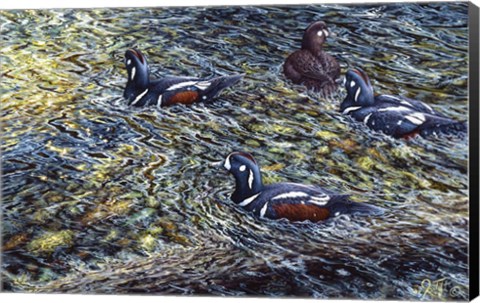 Framed Harlequin Romance Print