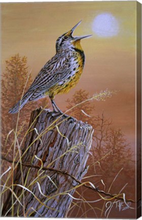 Framed Meadowlark Painting Print