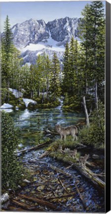 Framed Wilderness Family Print