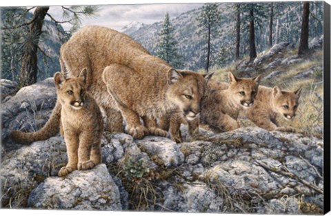 Framed Cat Family Print