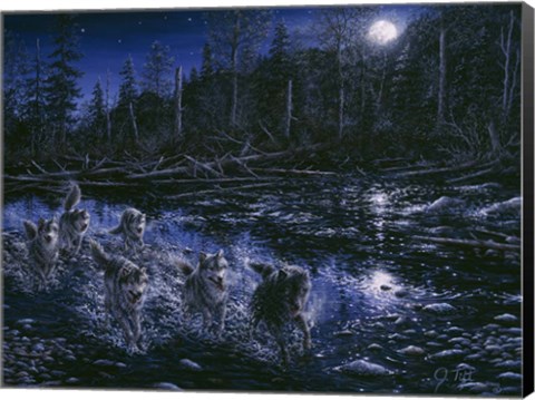 Framed Midnight Pursuit Print