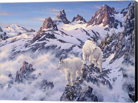 Framed Among The Clouds - Mtn. Goat Print