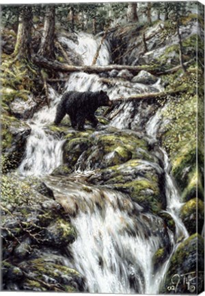 Framed Bear Creek Crossing Print
