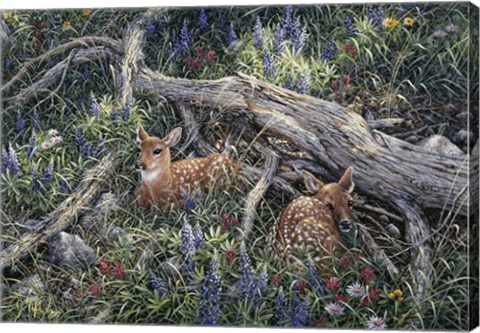 Framed Fawns And Flowers Print