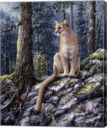 Framed King Of The Forest Print