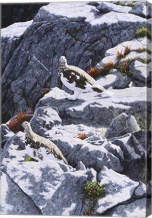 Framed Ghosts Of The High Country Print
