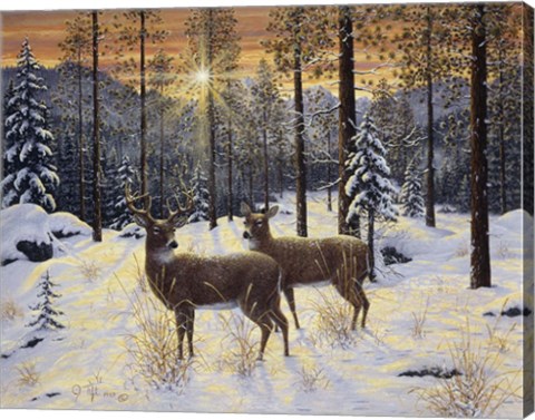 Framed Evening Silence Print
