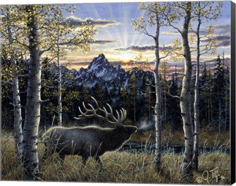 Framed Dawn Of Light Print