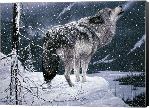 Framed Lone Wolf Print