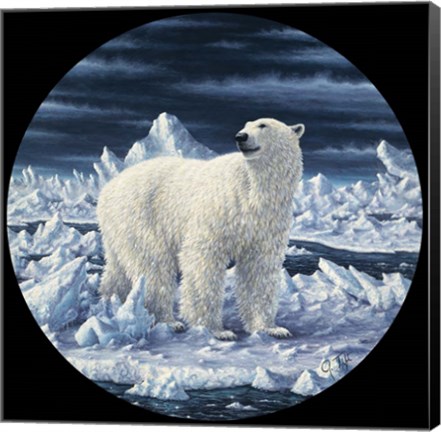 Framed Polar Bear Print