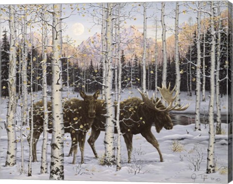 Framed Forest Twilight Print