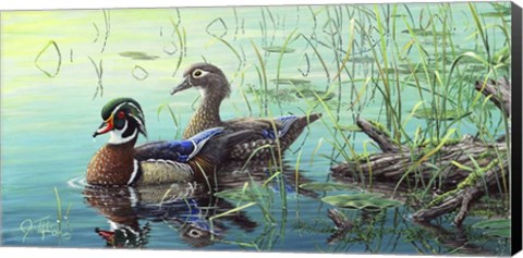 Framed Wood Ducks Print