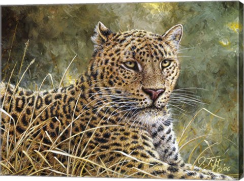 Framed Leopard Portrait Print