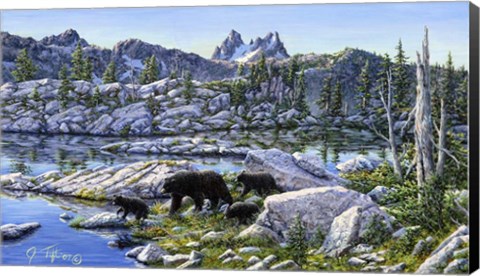Framed Black Bear Print