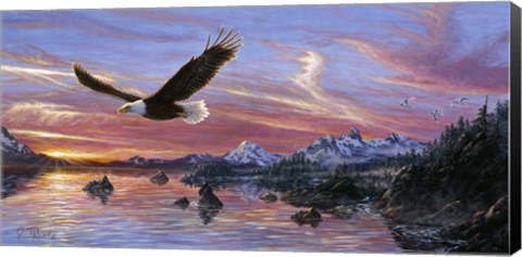 Framed Silent Wings Of Freedom Print