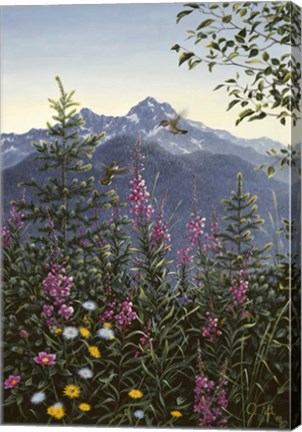 Framed Hummingbirds Print