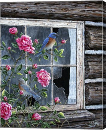 Framed Roses &amp; Bluebirds Print
