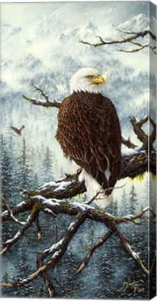 Framed Eagle Rest Print