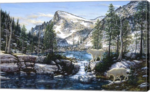 Framed Summer In The Enchantments Print