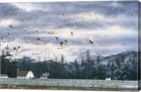 Framed Geese Flying Over Farmland Print