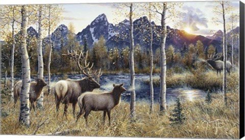 Framed Autumn Rival Print
