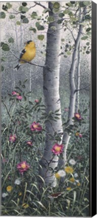 Framed Shades Of Summer Print