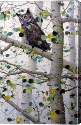 Framed Misty Aspen Print
